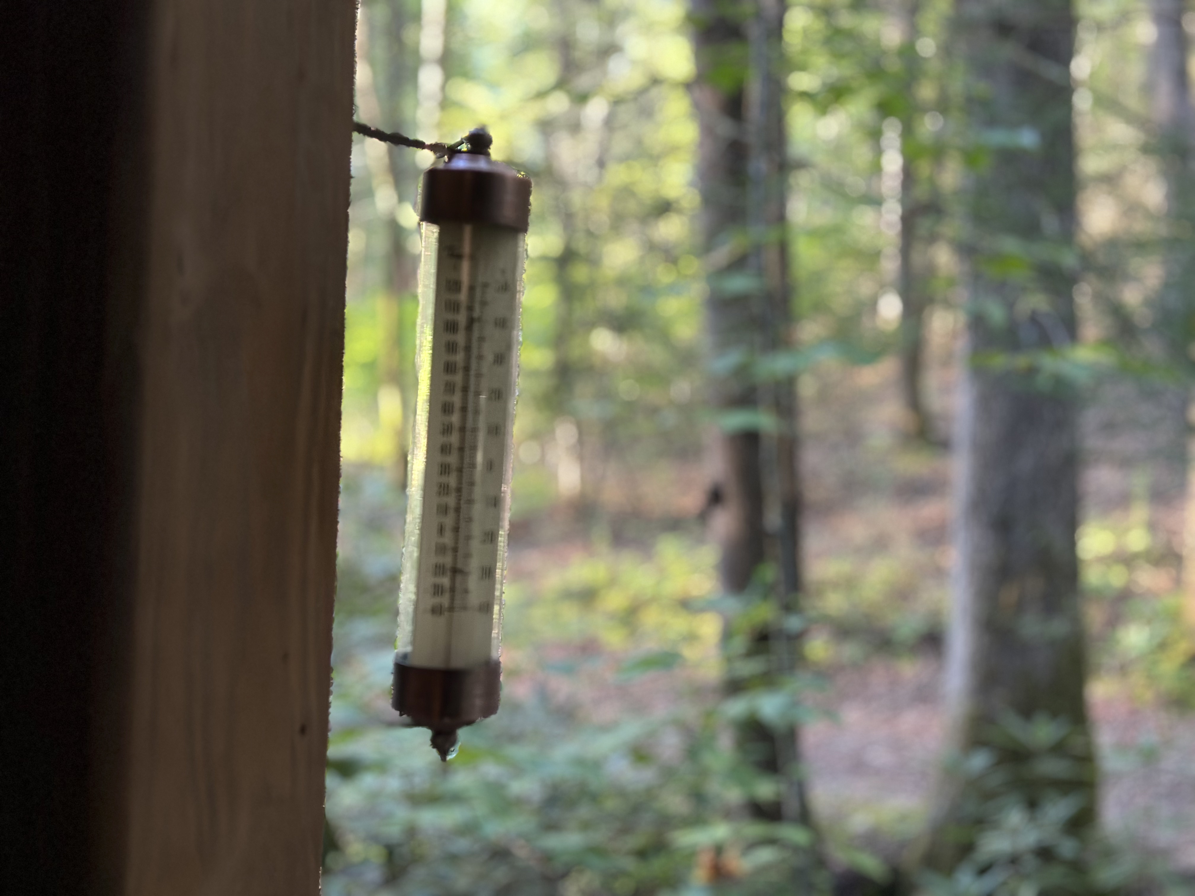 Thermostats & Thermometers ::